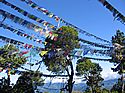 prayer flags